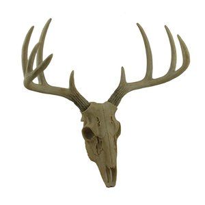 Little Bucky - 15-inch Wall Mounted Faux Deer Skull With 10-point Antlers -🤘